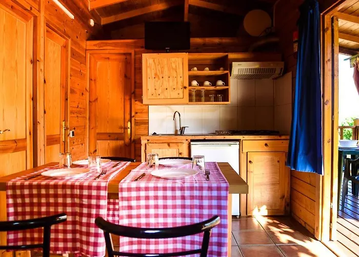 Camping El Pasqualet Caldes De Montbui